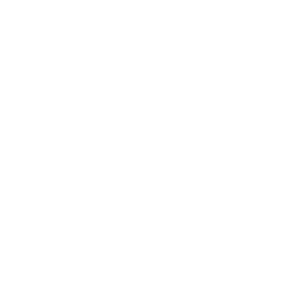 Landslide
