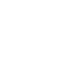 Petrify