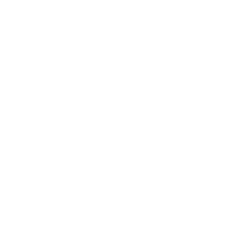 Tectonics