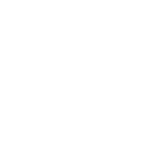 Shattered Lash