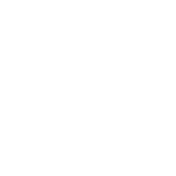 Scarab Shell