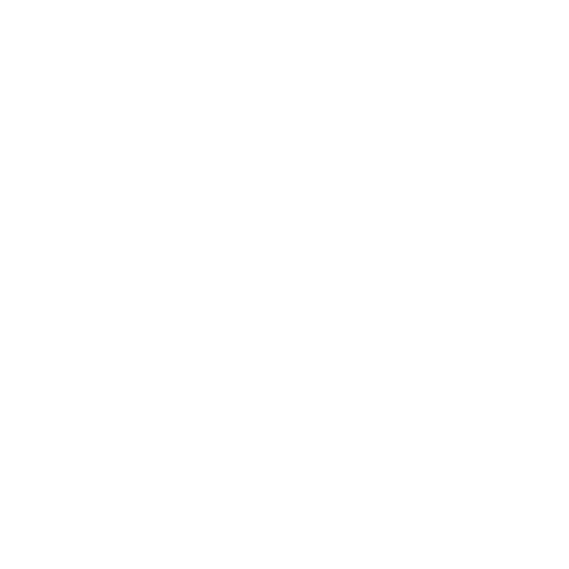 Navigator