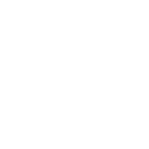 Temporal Anchor
