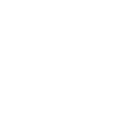 Electric Shield