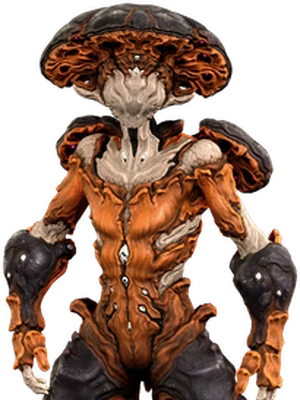 Nokko